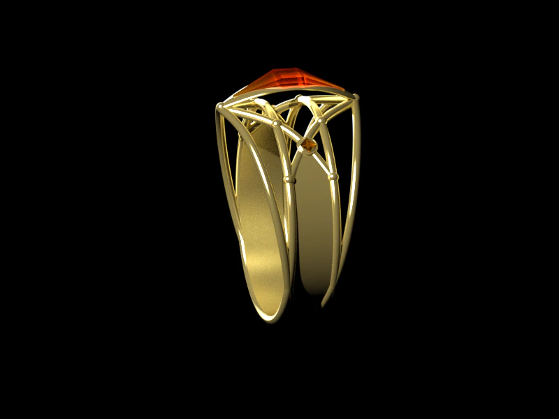 ring female 3D Print Model .c4d .max .obj .3ds .fbx .stl .blend 