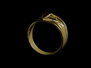 ring female 3D Print Model