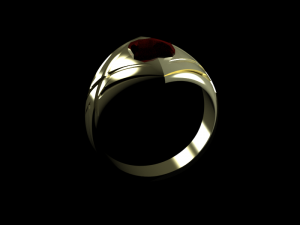 signet 3D Druckmodell