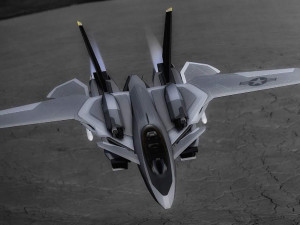 f14 advanced tomcat 2 3D Model