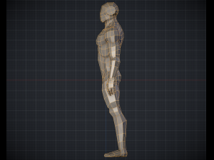 man basemesh idealized proportions 3D मॉडल