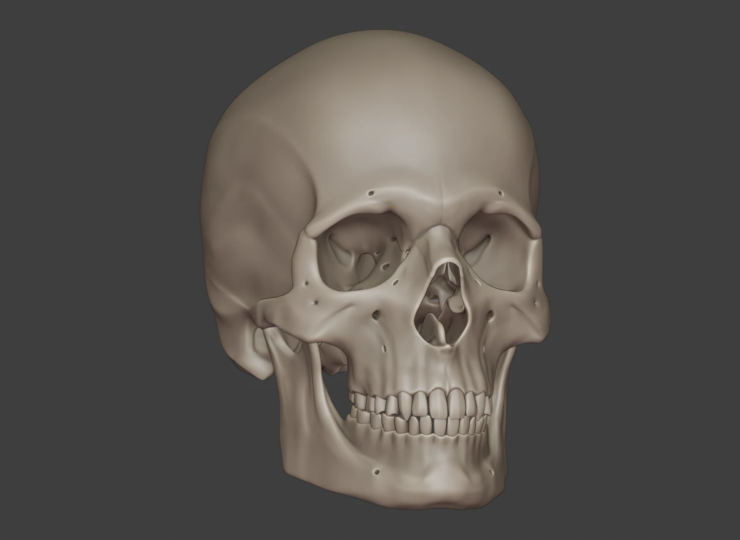 perfect shaped skull basemesh 3D Model .c4d .max .obj .3ds .fbx .stl .blend 