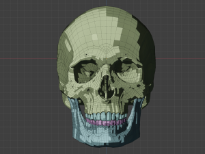 perfect shaped skull basemesh 3Dモデル