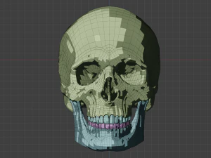 perfect shaped skull basemesh 3D Model
