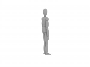 human scale 3D मॉडल