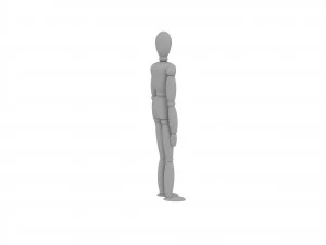 human scale 3D Model