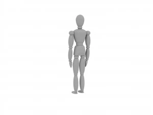 human scale 3D Model