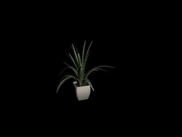 small plant 3D मॉडल .c4d .max .obj .3ds .fbx .stl .blend 