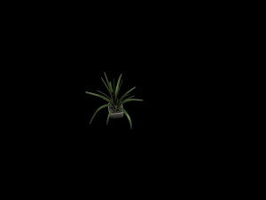 small plant 3D मॉडल