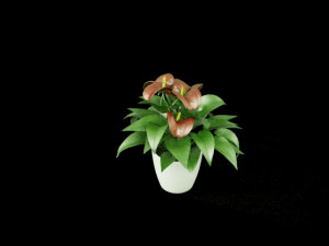 flower plant Modello 3D