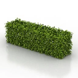 Gartenstrauch 3D Modell .c4d .max .obj .3ds .fbx .stl .blend 