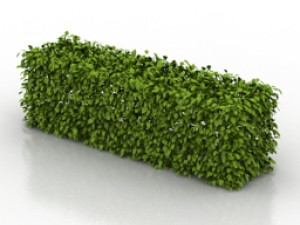 garden bush 3D मॉडल