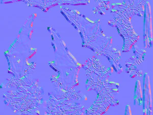 ドラゴン 3Dモデル