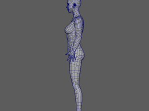 female basemesh 3D 모델