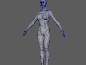 female basemesh 3D 모델