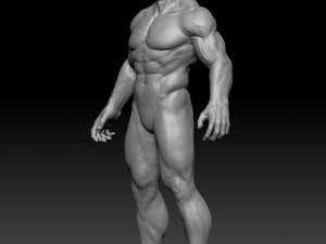 male anatomy zbrush 3D Model