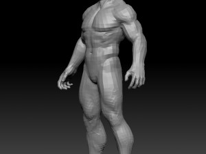 male anatomy zbrush 3D Model
