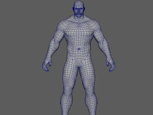 पुरुष आधार लोपोली हाईपोली 3D मॉडल