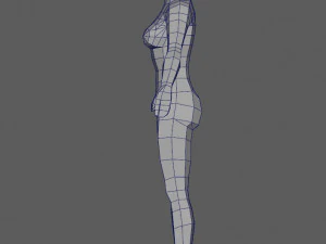 base female 2 3D Model