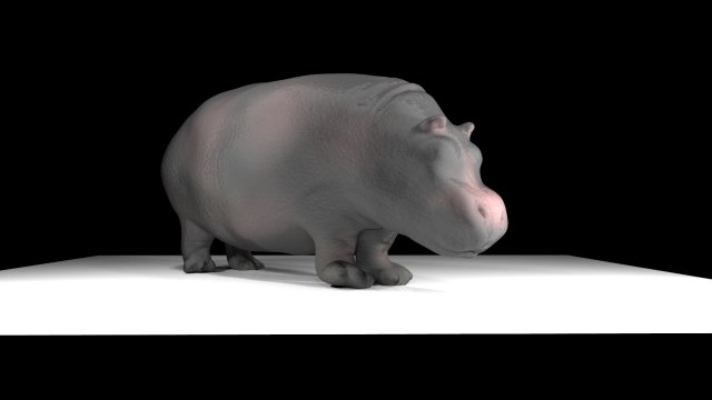 hippo 3D Model .c4d .max .obj .3ds .fbx .stl .blend 