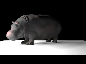 ippopotamo Modello 3D