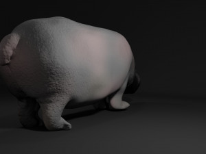 hippo 3D Model