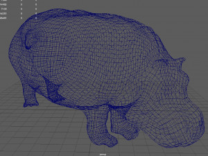 hippo 3D Model