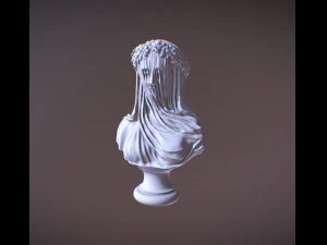 戴面纱的半身像女士 3D 打印模型
