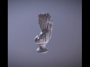 BUST LADY WITH VEIL 3D Print Model