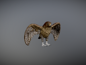 Hawk 3d printable 3D 프린트 모델