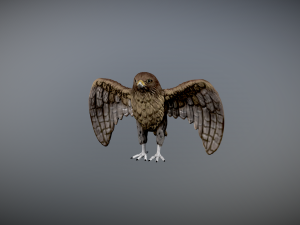 Hawk 3d printable 3D 프린트 모델