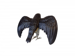 Hawk 3d printable 3D 프린트 모델