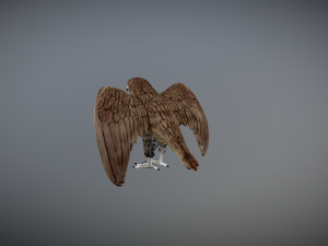 Hawk 3d printable 3D 프린트 모델