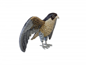 Hawk 3d printable 3D 프린트 모델
