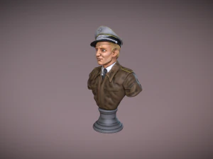 Erich Alfred Hartmann Bust 3D Print Model