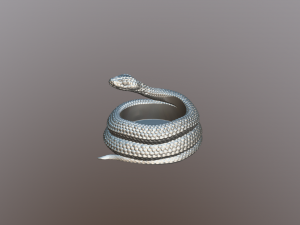 Snake pot or planter for 3d print 3D print model 3D प्रिंट मॉडल