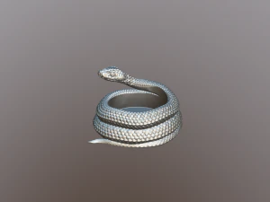 Snake pot or planter for 3d print 3D print model 3D Print Model