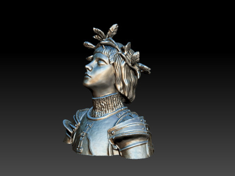 Joan of arc bust 3D print model 3D Print Model