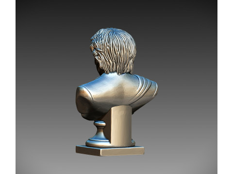 Bust of the President of Argentina Javier Milei Model Cetak 3D