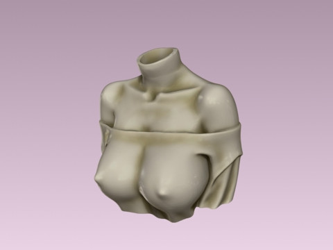 Decorative art woman bust Planter 3D Print Model