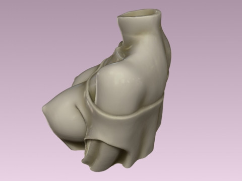 Decorative art woman bust Planter 3D Print Model