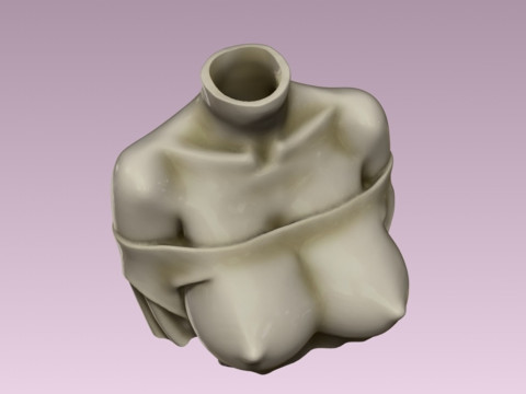 Decorative art woman bust Planter 3D Print Model