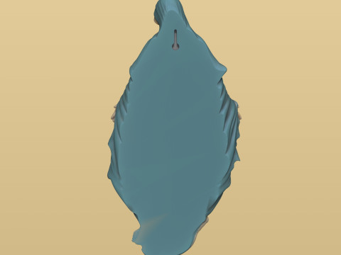 Wall ornament Virgin of the Miraculous Medal 3D print model 3D Baskı Modeli