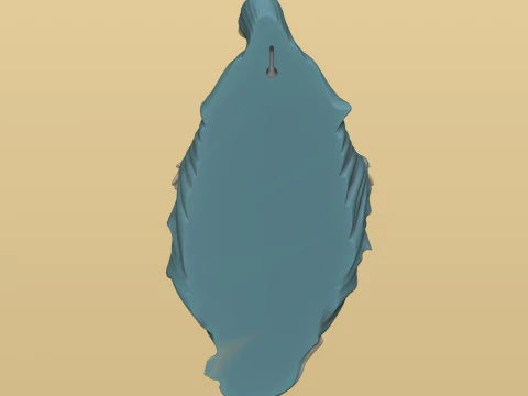 Wall ornament Virgin of the Miraculous Medal 3D print model 3D Print Model