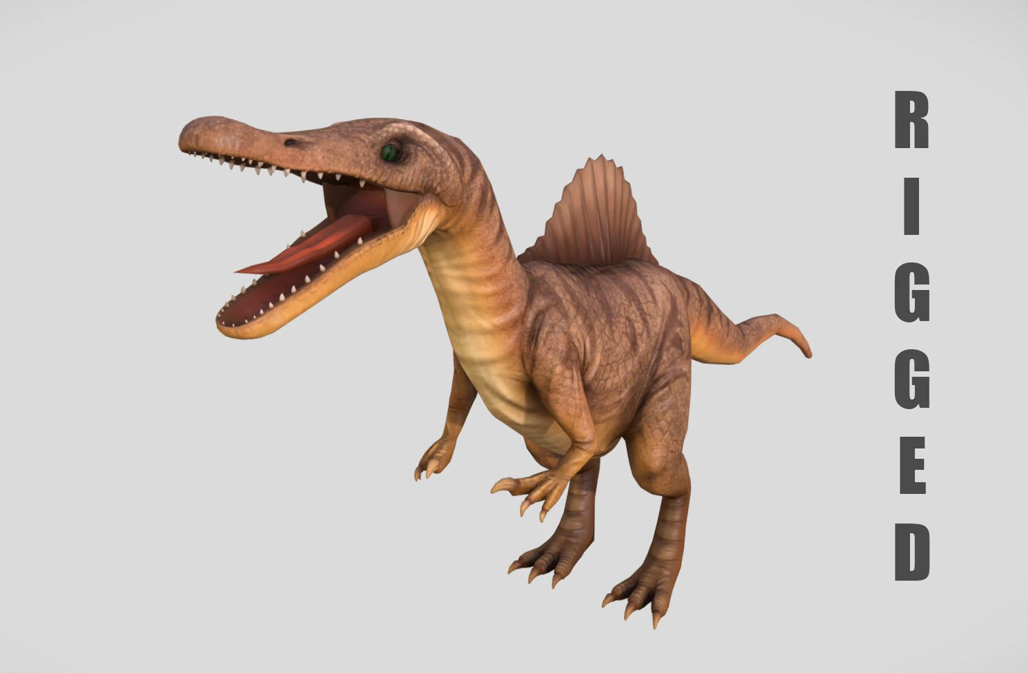 rigged spinosaurus character 3D Model .c4d .max .obj .3ds .fbx .stl .blend 