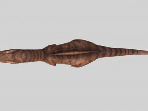 rigged spinosaurus character 3D Model