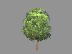 low poly tree 3D 모델