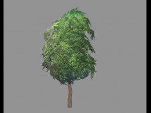 low poly tree 3D Model
