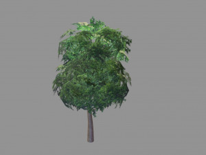 low poly tree Model 3D