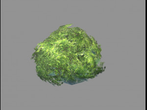 low poly tree Model 3D